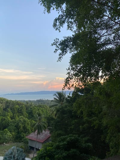 This is a photograph taken from a vantage point overlooking a tropical landscape in Tambon Ban Tai, Thailand. In the foreground, lush green foliage, including the leaves and branches of trees, frames the scene. To the left, a small house with a reddish-brown roof is nestled among the trees. Beyond the trees, a body of water, likely the sea, stretches towards the horizon. In the distance, a long, undulating landmass, possibly an island or the mainland, is visible. The sky above is a pale blue, transitioning into soft hues of pink and orange near the horizon, suggesting either sunrise or sunset. Clouds are scattered across the sky, catching the warm light of the sun. The overall impression is one of a serene, natural environment, typical of a coastal tropical setting.
