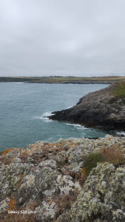 A view of the coast near Cemaes, United Kingdom. The image features a rocky shoreline with the sea to the left and a distant landmass with some buildings. The sky is overcast. In the foreground, rocks are covered with lichen. The water is choppy. There is no discernable human activity or interaction in the scene. The overall impression is a natural, coastal landscape under a cloudy sky.