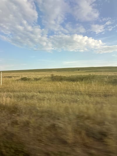 This is a landscape image with a clear division between the sky and the ground. The sky occupies the left side of the frame and is a pale blue with scattered white clouds. The ground, which takes up the right side, is a vast expanse of dry, golden-brown grass, indicative of a steppe or prairie landscape. The grass appears to be in motion, suggesting the image was taken from a moving vehicle.
The scene is vast and open, with a sense of depth created by the distant horizon. The transition from sky to ground is a sharp, straight line, emphasizing the flatness of the terrain. There are no people or distinct man-made objects visible, except for a faint, blurry white element at the bottom edge of the frame that might be part of a vehicle. A few sparse, dark green bushes or small trees are scattered across the grassland, breaking the monotony of the dry grass.
The lighting suggests it is daytime, likely late morning or afternoon, given the brightness of the sky and the even illumination of the landscape. The weather appears to be fair, with clear skies and scattered clouds. The overall mood is one of openness and natural beauty, with a hint of motion and vastness. There is no visible text in the image.