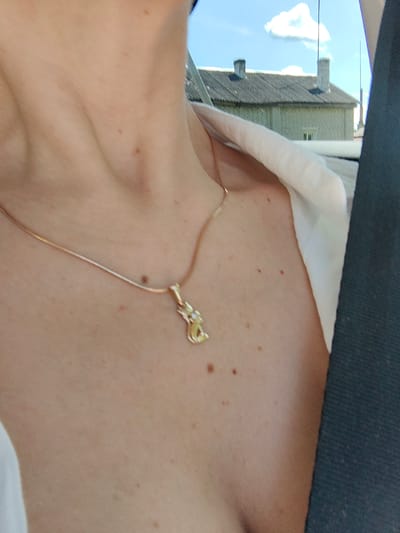 The image shows a close-up of a person's chest and neck, adorned with a delicate gold chain necklace featuring a small, golden pendant shaped like a cat with a tiny white stone. The person is wearing a white collared shirt, partially open, revealing the upper chest. The background, visible through what appears to be a window, shows a pale blue sky with a single white cloud, and the roofline of a light-colored building with two chimneys. The location is the city of Ilyanskiy selskiy Sovet, Belarus. The scene is an outdoor setting, likely captured during daylight. The overall impression is one of casual observation, possibly a moment captured while traveling or relaxing.
