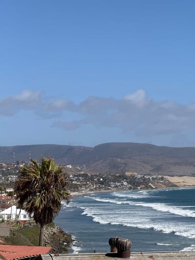 The image depicts a coastal landscape in Puerto Nuevo, Mexico. A palm tree dominates the foreground, its fronds rustling in the breeze. Beyond the tree, the ocean stretches out, with waves rolling towards a sandy beach. A town is nestled along the coastline, with buildings visible on the hillsides. In the distance, mountains rise, their slopes covered in sparse vegetation. The sky is a clear blue, with a few scattered clouds. The scene is bathed in bright sunlight, indicating a clear and warm day. The perspective is from an elevated viewpoint, offering a panoramic view of the coastal area.