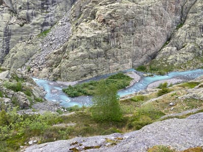 This image presents a high-angle view of a rugged, mountainous glacial valley in the vicinity of Innertkirchen, Switzerland. Dominant features include massive, grey-green rock formations forming steep cliffs on both the left and right sides of a valley floor. The rock surfaces display varied textures, including horizontal and vertical striations, dark mineral staining, and fractured areas. A substantial scree slope, composed of angular grey and light-colored rock fragments, descends from the upper left cliff face towards the valley bottom.

A distinct light turquoise-blue river flows through the center, characterized by multiple braided channels that meander around several small, elongated islands covered with green vegetation and gravel bars. The water's color is indicative of glacial meltwater. The riverbanks consist primarily of rocks and pebbles.

Vegetation is distributed unevenly; it is sparse on the steepest rock faces but more concentrated on the gentler slopes and along the river's edge. Green bushes, grasses, and small evergreen trees dot the landscape. A prominent cluster of deciduous trees with bright green foliage, likely birches, stands on a small elevated area in the middle foreground, separating two river channels. The immediate foreground consists of large, lichen-covered grey rocks, suggesting the viewpoint is from a rocky outcrop overlooking the scene. No human figures, structures, or signs of human activity are visible. The scene depicts a remote, alpine environment shaped by geological and hydrological processes.