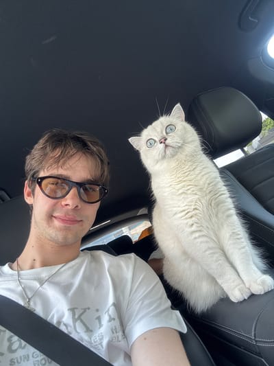 This is a selfie taken inside a car, with the person in the foreground and a white cat in the background. The person is wearing sunglasses and a white t-shirt with a graphic print. The cat, with striking blue eyes, is lying on the car seat next to the person. The scene suggests a casual moment, possibly a road trip or an outing, on a bright day, as indicated by the light filtering into the car. The setting is clearly inside a car, with black leather seats visible. The person's expression, partially obscured by sunglasses, appears relaxed and happy. The visible text on the t-shirt is fragmented, with discernible words like "SUN GI." The overall mood is one of companionship and a shared moment between the person and their pet.