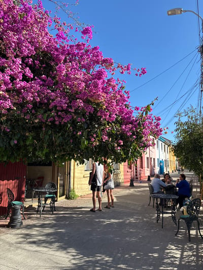 The image displays an outdoor street scene in Tomé, Chile, on a clear, sunny day. A large bougainvillea plant with dense clusters of magenta flowers and green foliage dominates the upper left and center of the frame, extending over a paved walkway and casting dappled shadows.

On the left side of the walkway, partially obscured by the bougainvillea, a section of a red building with a closed door is visible. Next to it, a dark, ornate metal table and two matching chairs are set on the pavement. Further right and slightly back, two individuals stand under the bougainvillea canopy: a male wearing a white tank top and dark shorts, facing partially away from the viewer, and a female in a light-colored dress, facing him.

Along the right side of the street, a row of brightly painted, multi-story buildings lines the thoroughfare, exhibiting colors including yellow, red, pink, light blue, and light yellow. In the mid-ground on the right side of the walkway, four individuals (two males and two females) are seated around a dark, ornate metal table, engaged in apparent conversation. Additional similar tables and chairs are positioned nearby.

The sky is clear and blue. In the upper right corner, a utility pole with a modern grey LED street light fixture is visible, with multiple overhead power lines crossing the frame. Further down the street on the right, additional green trees provide more shade.