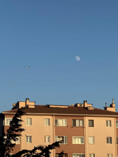 The image displays a building with a clear blue sky in the background. The building is tall, with multiple floors and windows. It appears to be an apartment building or office building. The sky is clear and bright, suggesting a sunny day. The moon is visible in the sky, indicating that it may be daytime or early evening. There are also birds flying in the sky. A tree with dark green leaves is partially visible in the foreground, silhouetted against the building and sky. The building's facade is painted in two different shades of brown and beige. The architectural style suggests it is modern. The overall impression is a serene and urban scene. The time of day is likely late afternoon or early evening, given the presence of the moon and the warm lighting on the building. There is no visible text in the image.
