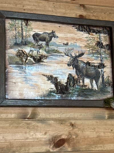 This image shows a framed artwork of moose in a natural setting. The artwork is made on a birch bark canvas, with some areas featuring applied bark for texture. The scene depicts two adult moose and a calf near a body of water with trees in the background. The framing is dark and appears to be made of wood. The artwork is displayed on a wooden wall, which is constructed of horizontal planks of light-colored wood, a common building material in rural or rustic settings. The wood has visible grain and knots. The overall impression is that of a rustic decoration, possibly in a home or a lodge, in a natural environment. The location in Sosnovka, Russia, suggests a setting where such natural imagery and materials would be culturally relevant and aesthetically fitting.