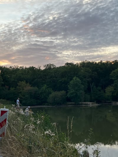 In Sonchamp, France, at dusk, two individuals are fishing by a tranquil body of water. The sky above is filled with dramatic, textured clouds tinged with the soft hues of sunset. A dense line of trees forms a dark backdrop along the far bank of the water. In the foreground, tall grasses and wildflowers grow along the water's edge. A red and white striped traffic marker is visible on the left side of the image. The water's surface reflects the subdued light and the surrounding trees.