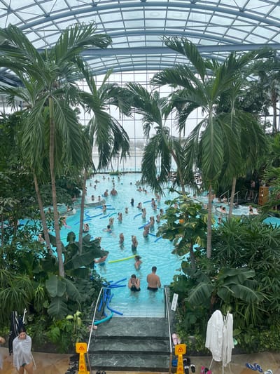 The image depicts an expansive indoor thermal bath complex, likely Therme București, located near Săftica, Romania. The facility features a large, arched glass roof structure and numerous tall palm trees and lush tropical vegetation surrounding a large, light blue swimming pool. Through the exterior glass walls, a grey, overcast sky and distant, possibly barren, outdoor landscape are visible. Approximately 50 to 70 individuals are present in the main pool, engaged in what appears to be a water aerobics class or group activity; many hold blue and yellow foam noodles and exhibit coordinated arm movements. A smaller group occupies a distinct, bubbling section of the pool to the right, consistent with a hot tub. In the foreground, a multi-tiered dark-tiled stairway leads into the pool. At the base of these steps, a woman is submerging her face in the water, positioned next to a man standing with his back to the camera. On the tiled floor to the left of the steps, a young woman, partially wrapped in a white towel, stands looking downwards. Two yellow 'wet floor' caution signs are placed near the steps. To the right, a white clothes drying rack holds several white garments, and various footwear items are scattered on the floor.