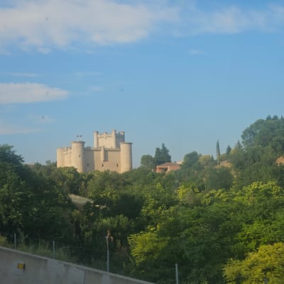 The image shows a pale, stone castle with multiple towers and battlements, situated on a hill. The castle is surrounded by lush green trees and foliage, with a bright blue sky with scattered clouds overhead. In the foreground, there is a concrete barrier and a metal fence. The castle is identified as the Castle of Torija, located in Torija, Spain.
