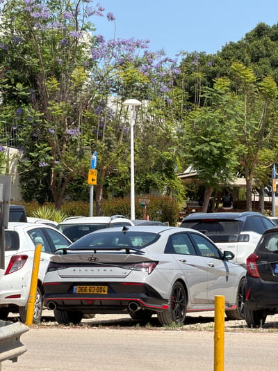 The image captures a bright daytime scene in an outdoor parking area, likely a street or lot, in what appears to be Kfar Monash, Israel. Several cars are parked alongside a lush green space.

In the foreground and midground, a line of cars is parked. A prominent white Hyundai Elantra N is visible, showing its rear and driver's side. Its license plate, "366-63-004," clearly displays the Israeli "IL" country code. The car features sporty red accents on its rear diffuser and side skirts, and the "ELANTRA N" model badge is visible on the trunk. Behind it, a dark-colored car, possibly a Hyundai Ioniq with a "hybride" badge, is also parked. Other cars, predominantly white, are partially visible in the row. A yellow bollard or barrier stands on the pavement near the parked cars.

To the left of the parking area, a vibrant green landscape is filled with numerous trees and flowering plants. Many of these trees are adorned with distinctive purple blossoms, characteristic of Jacaranda trees, suggesting a spring or early summer season. A white street light pole is visible amidst the foliage. A utility pole stands with two signs: a blue circular sign with a white right-pointing arrow, and below it, a yellow rectangular sign with a black downward arrow and the Hebrew word "יציאה" (YETZI'A), which translates to "Exit." In the deeper background within the green area, a person is partially visible, appearing to be sitting or standing under the trees.

The sky above is a clear, bright blue, indicating sunny weather. The scene suggests a well-maintained urban or suburban environment.