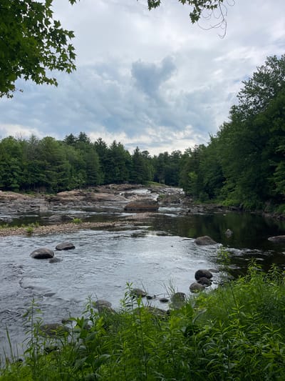 The image depicts a river flowing through a rocky landscape surrounded by lush green trees. The sky is overcast with clouds. In the foreground, the river has a dark, reflective surface with several large stones visible, some partially submerged. Tall green grass and other vegetation grow along the riverbank. The middle ground features a wider section of the river with more rocks and shallow rapids. The background is dominated by a dense forest of evergreen and deciduous trees. The scene is tranquil and natural, suggestive of a wilderness area. The location is identified as the Town of Lyonsdale, United States of America.