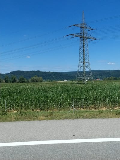An electrical pylon stands tall in a sunlit rural landscape. The pylon is a lattice structure made of metal, supporting multiple power lines that stretch across the clear blue sky. In the foreground, a field of tall green corn stalks is visible, separated from the viewer by a wire fence and a strip of grass. Beyond the cornfield, a line of lush green trees forms a dark band against the horizon, with rolling hills and a dense forest in the distance. A few scattered buildings, possibly houses or farm structures, are nestled in the landscape. The scene is a typical rural view of Germany, likely in the vicinity of Barbing, given the commonality of such agricultural fields and power infrastructure in that region. The image is captured from a roadside perspective, with a portion of an asphalt road and a white line visible in the very bottom of the frame.
