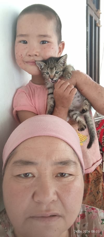 The image is a close-up selfie of two people and a kitten. In the foreground, a woman is wearing a pink headband and looking directly at the camera. Her face is partially visible. Behind her, a child is holding a small, grey tabby kitten. The child is wearing a pink t-shirt and their face is also visible, with some red marks on their cheeks. The kitten is looking forward with its mouth slightly open, as if it's about to meow. The background shows a white wall and a glimpse of a window frame. The lighting suggests it is daytime. The photo has a timestamp in the bottom right corner: "24.06.2026 08:05". The overall mood appears to be casual and affectionate, with the child holding the kitten tenderly. The context indicates the location is Chon-Kara, Kyrgyzstan.