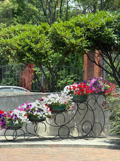 The image depicts an outdoor scene with a vertical arrangement of flower planters. The planters are filled with a variety of petunias in shades of red, pink, purple, and white, cascading down in a colorful display. Behind the flowers, a dark metal decorative railing with scrolled designs adds an element of visual interest. Further in the background, a green leafy tree with dark branches is prominent, interspersed with a glimpse of a brick wall and a metal fence. The overall setting appears to be a garden or an outdoor decorative area. The lighting suggests it is daytime, with sunlight casting shadows on the ground. There is no visible text in the image.