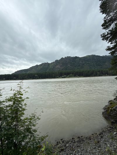 A wide, murky river flows through a valley under a cloudy sky. The riverbank is lined with dark, rounded stones and some sparse green foliage. Across the river, a dense, dark green forest covers the slopes of a long, low mountain range. The mountain peaks are rugged and rocky. The overall impression is one of a wild, natural landscape.