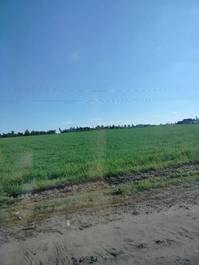 This media file depicts a wide, green field under a clear blue sky. The field appears to be agricultural, with a visible path or strip dividing it lengthwise. In the distance, a line of trees forms a natural border, and further beyond, several buildings and structures can be seen, including a dark-roofed building that resembles a barn or warehouse, and what appears to be construction equipment like an excavator. The foreground shows a rough, sandy or dirt path, possibly a road, with some dry vegetation and debris.
The scene suggests a rural setting in Bessonovka, Russia, on a bright, sunny day, likely late morning or early afternoon given the clear sky and shadows. There are no people or animals visible, and the overall mood is peaceful and serene, highlighting the natural landscape and agricultural activity. Faint horizontal lines, possibly power lines, are visible against the sky. The image has a slightly hazy quality, which might be due to glare on a window or atmospheric conditions. No text is discernible in the image.