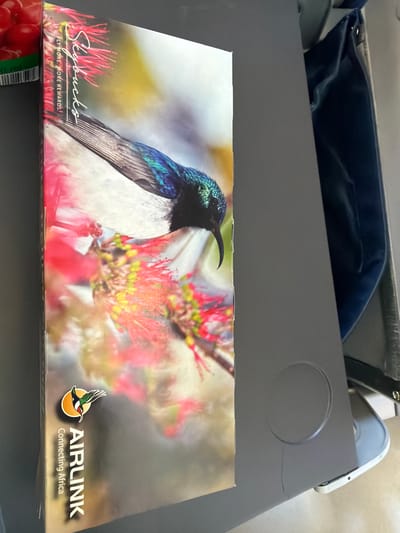 This is a medium shot, eye-level photograph of a printed brochure or pamphlet lying on a gray tray table. The brochure features a vibrant image of a sunbird perched on a branch with red and yellow flowers. The sunbird is small and iridescent, with green and blue plumage on its head and neck, and white feathers on its chest and belly. Its beak is long and slender, curved downwards. The background is softly blurred, with warm tones of yellow, pink, and red from the flowers.

In the bottom left corner of the brochure, the text "Skybucks" is written in a flowing script, with "FLY MORE. MORE REWARDS." underneath in smaller, sans-serif font. To the right, near the bottom right corner, is the Airlink logo, featuring a stylized bird in flight within a circle, and the text "AIRLINK" and "Connecting Africa" below it. The brochure appears to be part of an airline's in-flight service, suggested by the tray table and the overall presentation.

The setting is likely inside an airplane, given the tray table and the background elements that suggest an interior space. The lighting appears to be artificial, typical of an indoor environment. No people are visible in the frame. The overall impression is one of promotional material for an airline's loyalty program, using striking imagery to engage passengers. The photo seems to have been taken in natural daylight, perhaps during the day, but there are no specific cues about the weather or time of day. The brochure's content and design suggest a travel or leisure context.