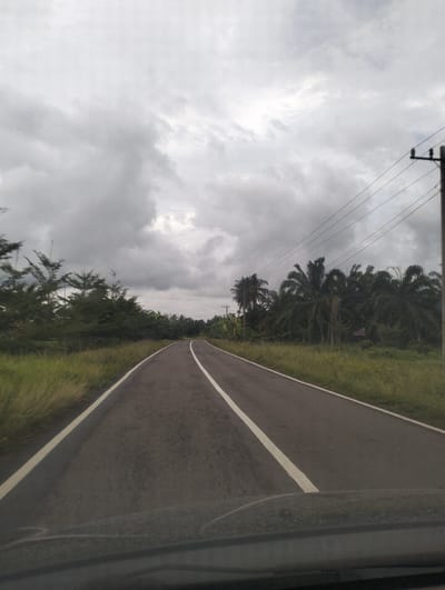 The image depicts a road curving to the right, flanked by vegetation and trees, under a cloudy sky. The road surface is asphalt, marked with a solid white line on the left and a broken white line on the right, indicating it is a two-way road. On the left side of the road, there is a stretch of tall grass and then a line of evergreen trees. On the right side, there are palm trees and other tropical foliage. Utility poles with power lines are visible in the distance on the right. The overall scene suggests a rural or semi-rural setting in Teupinreusep, Indonesia. The perspective is from a vehicle, as evidenced by the lower part of the windshield or hood in the foreground, covered in a fine layer of dust. No people or any specific actions are visible in the image. The weather appears overcast.