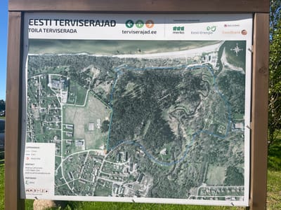 The image shows a large wooden-framed sign with a map of a recreational area in Toila, Estonia. The map displays trails, buildings, and a coastline. The top of the sign has text in Estonian, including "EESTI TERVISERAJAD" and "TOILA TERVISERAJAD", and logos of sponsors like Merko and Eesti Energia. There are also icons indicating trail lengths: 1.5 km and 3 km, and a "You are here" marker. Contact information for Andrus Lehis meets and the partner RMK are listed at the bottom left. The sign is situated outdoors, with grass and trees visible in the foreground and background, suggesting a park or natural setting. The sky is blue and clear, indicating daytime.