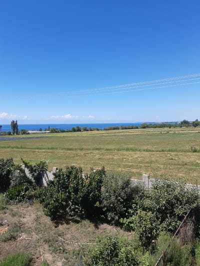The image depicts a landscape scene with a clear blue sky dominating the upper portion. Below the sky, there are several horizontal lines, likely power lines. The middle ground features a vast, green field extending towards a body of water, which appears to be a lake or sea. Along the shoreline, a line of trees is visible, with some structures and hints of a town or settlement. In the foreground, a low, grey concrete wall separates the viewer's perspective from more dense vegetation and trees. The overall impression is one of a rural or semi-rural setting on a sunny day. There are no people or animals visible in the image. The scene is likely located in or around Progress, Kyrgyzstan, given the context provided, but this cannot be definitively determined from the image alone.