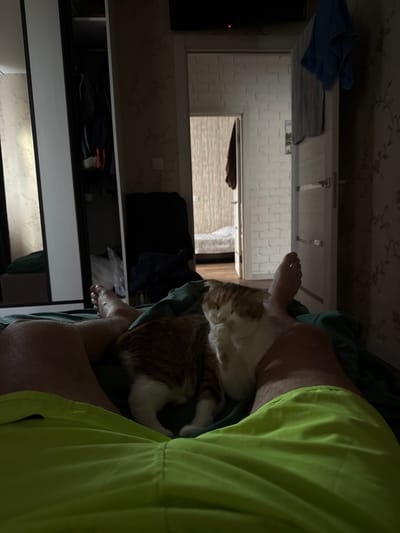 The image shows a person's legs and a cat lying on them. The person is wearing bright green shorts. The cat is predominantly white with brown and orange patches and is curled up asleep. The setting appears to be indoors, possibly a bedroom or living room, with furniture visible in the background. There is a white shelf unit with items on it, and a doorway leading to another room. The lighting suggests it might be evening or a dimly lit room. The overall mood seems relaxed and peaceful, with the cat enjoying a nap on the person. No visible text is present in the image. The location context provided is "Столбище, Russia."