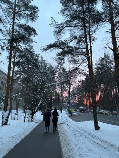A snow-covered landscape with tall trees lining a walkway. Two people walk along the path. A road with parked cars is visible beyond the trees. The sky is dusky with hints of pink and orange light filtering through the trees, suggesting either sunrise or sunset. Snow covers the ground and branches of the trees. A building is partially visible in the foreground.
