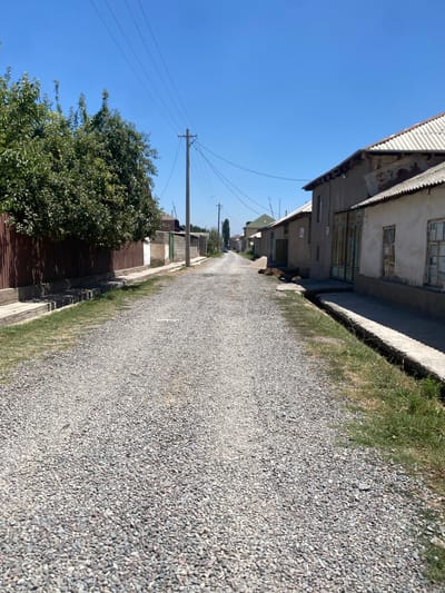 The image depicts a rural street in the city of Боғистон, Tajikistan. The street is unpaved and covered with gravel, running between a row of houses on the right and a fence and trees on the left. The houses appear to be constructed from stucco and have corrugated metal roofs. Power lines are visible overhead, supported by wooden poles. The sky is clear and blue, indicating a sunny day. There are no people or vehicles visible in the immediate scene, though a car can be seen in the distance down the road. The environment is typical of a village or suburban area with modest housing and infrastructure.