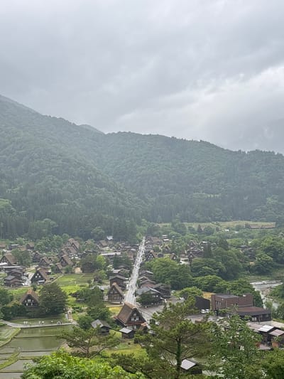 This image captures a panoramic view of the Ogimachi village in Shirakawa, Gifu Prefecture, Japan, as seen from a high vantage point, likely an observation deck. The scene is set under a uniformly overcast sky, which is filled with light gray clouds, providing diffused illumination to the landscape.

The village is situated within a deep valley, flanked on both sides by steep, heavily forested mountains. These mountains are covered in dense, vibrant green foliage, indicative of summer or late spring, with both deciduous and coniferous trees discernible. A slight atmospheric haze is visible, particularly towards the upper sections of the mountains.

The most prominent architectural features in the village are the numerous traditional gassho-zukuri farmhouses. These structures are characterized by their extremely steep, triangular thatched roofs designed to withstand heavy snowfall, and dark timber exteriors. They are scattered across the valley floor, interspersed with green areas. A main paved road, appearing wet, runs diagonally through the center of the village from the upper right towards the lower left. Several vehicles are visible on this road.

In the lower-left and central-left portions of the image, extensive agricultural fields are present, primarily functioning as rice paddies. These paddies are flooded with water and show young green rice plants, with some areas exhibiting terraced formations. A group of approximately 10 to 15 individuals is observed walking along a narrow, raised earthen path that traverses these flooded rice paddies. Some individuals in this group appear to be wearing hats or carrying umbrellas.

Towards the lower right, several modern, darker-colored buildings with flat or low-pitched roofs are visible, contrasting with the traditional gassho-zukuri architecture. A river is partially visible winding through the valley on the far right side of the image, beyond these structures and some tree lines. The overall impression is one of a preserved traditional village integrated into a lush, mountainous natural environment, under muted, ambient light conditions.