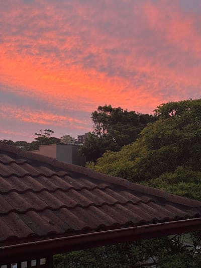 The image depicts a sunset or sunrise over an urban or suburban landscape in Bondi Beach, Australia. The sky occupies the upper two-thirds of the frame, showcasing a vibrant display of orange and pink hues across numerous small, scattered cloud formations. The lower third of the image is dominated by the dark reddish-brown, weathered terracotta-tiled roof of a building, extending diagonally upwards from the lower left to the center right. A dark brown gutter runs horizontally along the lower edge of the roofline. Behind the roof and gutter, a dense canopy of various green trees is visible. In the background, partially obscured by the trees, several multi-story buildings of varying architectural styles and colors are discernible against the colorful sky, suggesting a developed residential or commercial area. No people or animals are present, and no specific actions or interactions are depicted.