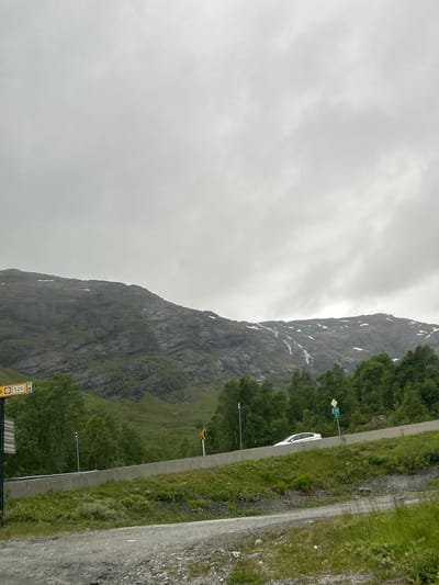 This is a vertically oriented, eye-level, medium shot of a steep mountain face and a road in Røldal, Norway. The sky is overcast and appears to be raining lightly, with the clouds creating a diffused, grey light. The mountain is covered in patches of green grass and some darker, rocky sections, with streaks of what appears to be snow or water running down its face. The vegetation on the mountainside is lush and green.

To the right of the mountain, a paved road runs parallel to the base of the mountain. There is a grassy verge between the road and the mountain. A white car is parked on the side of the road, partially obscured by trees. There are several signs visible along the road. One sign is green with white text that reads "EDN" and a yellow diamond shape. Another sign is yellow with black text that reads "520" and a symbol of a road with a curved arrow indicating a sharp bend. There are also lampposts visible along the road.

The overall impression is of a dramatic natural landscape encountered on a journey, likely during the daytime given the light, though the overcast conditions make it difficult to be precise. The scene evokes a sense of rugged beauty and the quiet atmosphere of a remote location, possibly during a road trip or a scenic drive.