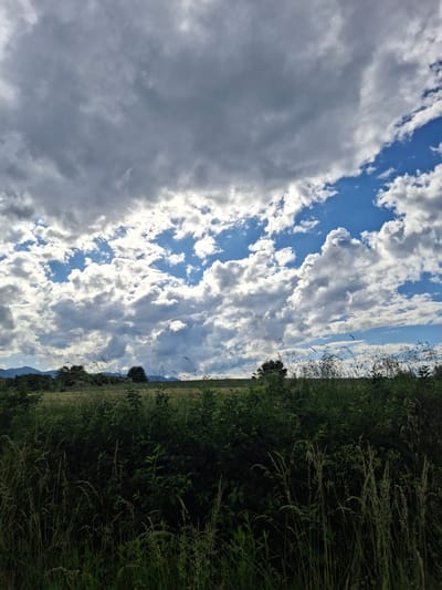 This image captures a vibrant natural landscape, horizontally oriented despite the original's vertical rotation. The upper half of the scene is dominated by a dynamic sky, characterized by brilliant patches of deep blue contrasted with an extensive array of white and grey cumulus clouds. Some clouds are bright and voluminous, catching sunlight, while others appear denser and darker, hinting at varying light conditions or cloud thickness.
The lower half of the image showcases a lush, green field or grassland. Towards the right side, tall, dense foliage, including various grasses and leafy plants, forms a thick, verdant border, suggesting an untamed natural area or a hedgerow. The vegetation is a rich, healthy green. Further into the distance, a subtle horizon line separates the land from the sky, with faint outlines of distant hills or mountains visible beneath the lighter atmospheric haze.
The scene depicts a clear, bright day, likely mid-morning or afternoon, given the strong illumination on the clouds and foliage. The weather is partially cloudy but sunny. No specific activity or individuals are present, focusing solely on the natural environment. The overall mood is peaceful and expansive, reflecting the serene beauty of the outdoors. There is no visible text within the image. This landscape is set in Gorna Kremena, Bulgaria.