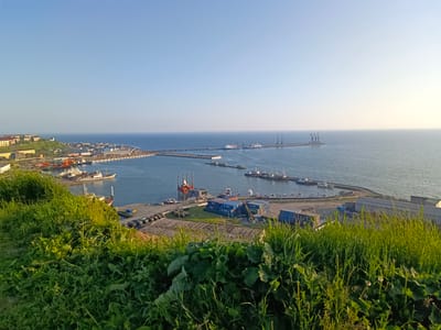 This is a high-angle, wide shot of a harbor in Korsakov, Russia, on a clear, sunny day. The foreground is dominated by lush green grass and vegetation, obscuring the lower edge of the image. Beyond the greenery, the scene opens up to a bustling port with numerous ships docked and in the water. Several large cargo ships and smaller vessels are visible, along with docks and piers. In the mid-ground, there are port facilities, including containers, cranes, and buildings. In the distance, a long pier extends into the sea, equipped with more cranes. The horizon shows a clear division between the deep blue sea and a pale blue sky, with a slight haze or cloud formation on the far right. The overall impression is one of industrial activity within a coastal setting.