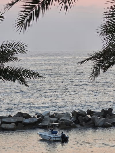 An outdoor, vertical, medium shot captures a serene ocean scene framed by dark palm fronds. In the foreground, a breakwater composed of large, angular concrete blocks separates the choppy, dark blue ocean from calmer, lighter-colored water. A small, white motorboat with a blue seat and a black outboard motor is moored near the breakwater, gently bobbing on the water. The ocean stretches to the horizon, meeting a pale, overcast sky with a hint of pink near the top. The scene appears to be a quiet morning or evening in Hlorakas Community, Cyprus.
