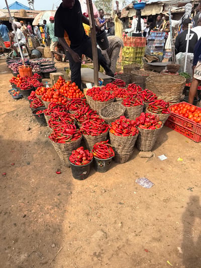 This image depicts a bustling outdoor market located in Ogere, Nigeria. The foreground and midground are dominated by extensive displays of fresh produce, primarily red chili peppers and tomatoes, arranged on unpaved dirt ground. Numerous woven wicker baskets and black plastic buckets overflow with red chili peppers, including both long slender and shorter, wider varieties. Tomatoes are also visible in wicker baskets and a red plastic crate on the right side.
A male individual wearing a black t-shirt and dark pants stands in the upper left-midsection, leaning against a wooden pole and holding a black bucket. His left leg is bent and elevated. In the background, numerous individuals are present, moving within the market. Structures consistent with temporary market stalls, some featuring corrugated metal roofs, are visible. One person is observed carrying a blue basin on their head, while another is stooping near stacked green plastic crates. The ground is packed earth, with scattered debris, including individual peppers and remnants of paper or plastic. Strong shadows are cast on the ground from individuals and market structures, indicating bright overhead sunlight.