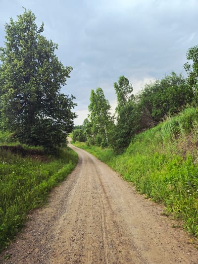 A dirt road winds through a grassy, tree-lined landscape. The road is textured with small stones and appears to have tire tracks. On either side of the road, lush green grass grows, dotted with small white flowers. Tall trees, predominantly deciduous with full green canopies, line the road and the surrounding hills. The sky is overcast with grey clouds. The scene evokes a rural or semi-rural setting, potentially on the outskirts of a town like Малая Уса, Russia, where such unpaved roads and natural vegetation are common. There are no people or animals visible in the image.
