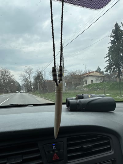 The image presents a forward-facing view from inside a vehicle, looking through a wet windshield onto a road in Ushintsi, Bulgaria. A light-colored, pointed pendant with two patterned beads hangs from the rearview mirror by a dark cord, partially obscuring the dashboard. A pair of black Nikon binoculars rests horizontally on the right side of the dark grey, textured dashboard. Dashboard elements visible include an air vent, a blue-illuminated car lock button, and a red hazard light button. Outside the vehicle, a wet two-lane paved road recedes into the distance, with two vehicles visible ahead. Bare deciduous trees line the roadside, interspersed with utility poles and wires. A yellow diamond-shaped priority road sign is visible on the left. On the right, a light-colored house with a red-tiled roof sits on a grassy incline, and a large evergreen conifer stands nearby. The sky is uniformly overcast. No individuals are visible.