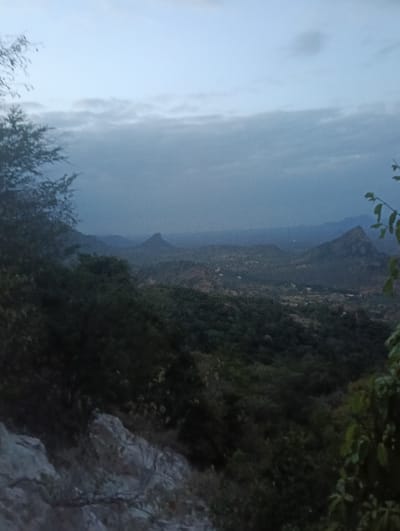 This image depicts a wide panoramic view of a natural, hilly landscape in Kalitini Centre, Kenya, captured during low light conditions, likely dawn or dusk. The foreground on the left features dark, silhouetted tree branches and light-colored, rocky terrain. The middle ground and background consist of multiple undulating hills and mountains, densely covered in dark green vegetation, receding into the distance. Prominent, distinct peaks are visible on both the left and right sides of the mid-distance. The sky above is overcast with diffuse, light grey clouds, showing no direct sunlight. No human subjects, structures, or specific actions are discernible within the frame. The overall environment is wild and undeveloped, dominated by natural topography and dense flora.