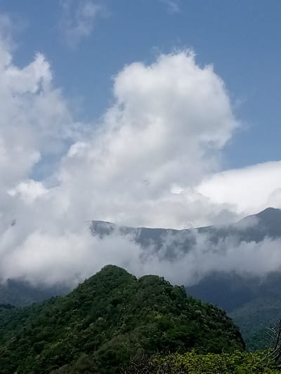 This image captures a cloudy day over a mountainous landscape, likely in the vicinity of Camurí Grande, Venezuela. In the foreground, a lush, green, tree-covered mountain peak dominates the lower portion of the frame. Beyond this peak, a range of mountains recedes into the distance, partially obscured by soft, white clouds that drift across the scene. The sky above is a bright blue, with scattered white clouds adding texture and depth. The overall impression is one of natural beauty and tranquility, with the mist and clouds lending a slightly dramatic and ethereal quality to the mountainous terrain.