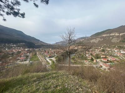 The image shows a view of the town of Tserovo, Bulgaria, nestled in a valley between hills. A leafless tree stands prominently in the foreground, partially obscuring the view. Below the hill, the town unfolds, with houses clustered together and streets winding through the town. A set of railroad tracks is visible, cutting through the town. The hills surrounding the town are mostly barren. The sky is overcast, creating a muted light across the scene. The foreground is covered in grass and dry vegetation.