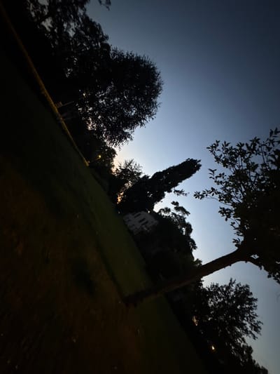 This image depicts a dimly lit outdoor scene, likely during twilight or just after sunset, given the deep blue of the sky fading to near black at the top. The composition is heavily tilted, with trees dominating the foreground and midground. Silhouetted against the fading light are several trees of varying shapes and sizes, including a tall, slender tree and a more rounded, bushy one.

In the midground, a building with a white facade and dark roof is partially visible, nestled amongst the trees. A streetlamp with a visible light source is also present, casting a faint glow. The ground appears to be covered in grass, with some patches darker than others due to the low light. The overall impression is one of a quiet, perhaps residential, area at the end of the day. The angled perspective and the silhouette of the trees against the darkening sky create a somewhat dramatic or moody atmosphere. No people or text are visible in the image. The context of Osterode am Harz, Germany, suggests this could be a park, garden, or residential street within the town.