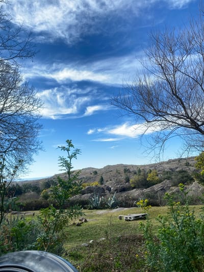 The image depicts a scenic landscape under a vibrant blue sky with wispy white clouds. The foreground is dominated by lush green grass and various plants, some with small yellow flowers, and the bare branches of trees frame the scene on the left and right. In the mid-ground, there is a grassy clearing with a wooden pallet lying on its side. Beyond this, a rocky, hilly terrain stretches into the distance, dotted with scattered trees and shrubs. In the far distance, a hazy horizon line suggests more rolling hills. The overall impression is one of a natural, semi-arid environment. The image does not contain any people, actions, or specific interactions. The location is identified as being in the city of Durazno, Argentina, suggesting a rural or semi-rural setting within or near the city.