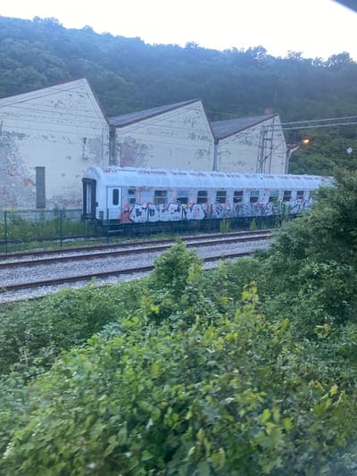 The image depicts an abandoned train carriage, heavily vandalized with graffiti, positioned on railway tracks. The carriage, predominantly white with patches of rust, shows shattered windows and extensive spray paint art covering its exterior. It is located next to a derelict industrial building with a peeling facade and multiple peaked roofs. The scene is surrounded by overgrown vegetation, including trees and bushes, suggesting a neglected or disused industrial area. The overall atmosphere is one of decay and abandonment. The presence of railway infrastructure indicates it is situated in proximity to a train line, possibly within a former industrial zone or a disused railway yard. The environment appears to be a semi-urban or rural fringe, given the dense foliage and the scale of the industrial structures.