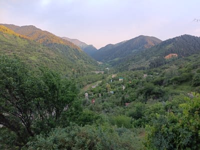 This media file captures a serene, natural landscape scene at Koklaisai, Kazakhstan, likely during the late afternoon or early evening. The image is dominated by lush green mountainsides covered in dense coniferous and deciduous trees, suggesting a temperate climate and perhaps a mountainous region. The sun casts a warm, golden light on the upper slopes of some mountains, creating a beautiful contrast with the shadowed valleys.

In the middle ground, a small village or settlement is nestled among the trees. Several houses with colorful roofs, ranging from red to blue and green, are visible, indicating human habitation in this otherwise wild setting. A winding road or path can be seen leading through the settlement and disappearing into the valley.

The foreground is filled with the dense foliage of trees and bushes, some of which appear to be deciduous with broad leaves. This creates a sense of depth and immerses the viewer in the natural environment. The sky above is a soft gradient of pale blue and pink, further hinting at the time of day being around sunset or sunrise.

The overall mood is peaceful and tranquil, evoking a sense of escape and natural beauty. There are no people or specific activities clearly depicted, making it a landscape-focused image. The location cues, such as the mountainous terrain and vegetation, combined with the provided context, point to a rural or semi-rural area in Kazakhstan. There is no visible text in the image.