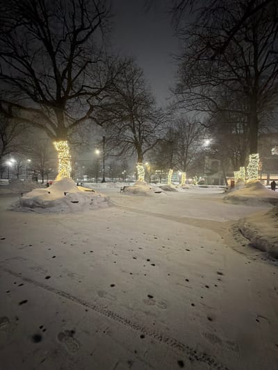 A winter scene shows a snow-covered pathway bordered by trees decorated with warm white lights. Bare tree branches reach into the dark sky, while mounds of snow line the path. Footprints and tire tracks mark the snow-covered ground. Streetlights cast a faint glow on the scene, enhancing the festive atmosphere despite the cold and snowy weather. Buildings can be seen in the far distance.