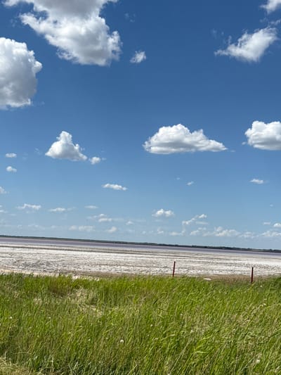 A wide, horizontal, eye-level shot captures a vast expanse of a salt lake under a bright blue sky dotted with fluffy white clouds. In the foreground, lush green grass grows in thick clumps, some wispy seed heads are visible. Two red marker posts stand in the grass, one slightly behind and to the left of the other. The salt lake stretches across the middle ground, appearing as a wide, flat, dry, white surface with some darker patches and subtle pinkish hues, suggesting mineral deposits and shallow water. Beyond the lake, a distant treeline is faintly visible. The scene is natural and serene, with no people or animals present. The location is identified as Бурсоль, Russia.
