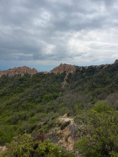 The image depicts a landscape near Rozhen, Bulgaria, featuring eroded sandstone formations. The scene is composed of two main elements: the sky and the terrain. The sky, taking up roughly half the frame, is cloudy with varying shades of gray. The terrain consists of a steep, vegetated hillside leading to the distinctive geological formations. The sandstone structures exhibit a layered, textured appearance due to erosion. The hillside is densely covered in trees and shrubs, creating a contrast between the green vegetation and the beige sandstone. There are no people present in the image.