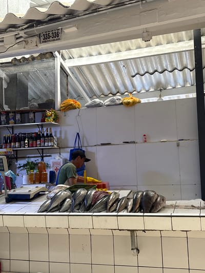 The image captures a vibrant market scene, likely a fish stall, in what appears to be Jesús María, Peru, given the provided context and the "MERCADO SAN JOSE" sign.

The primary subject is a male vendor, visible from the chest up, wearing a dark baseball cap and a green t-shirt. He is seated behind a market counter, attentive to his stall. The main merchandise on display consists of numerous fish, possibly mackerel or a similar species, neatly stacked in rows on what appears to be an iced display or a counter designed for fresh produce. The fish vary in size, with some appearing whole and others possibly cleaned.

To the left of the vendor, the stall features shelves laden with various bottled and jarred products, likely condiments, honey, or drinks, indicating a diverse offering beyond just fish. A white digital scale is visible on the counter in front of the fish display, suggesting active commerce. Yellow and clear plastic bags hang from the ceiling structure.

The setting is characterized by utilitarian market architecture. A corrugated metal roof provides shelter, supported by sturdy white beams. The walls are tiled in white, creating a clean yet functional backdrop for the stall.

Notable text includes a white rectangular sign attached to a beam, displaying "335-336" and "MERCADO SAN JOSE," confirming the location as a specific stall within this market. Another red and white sign near the vendor reads "BOTIQUIN," indicating the presence of a first aid point. The general lighting suggests it is daytime, likely within a covered market hall. The scene evokes the daily routine of a bustling local market.