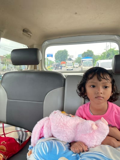 A young girl wearing a pink shirt is lying on a car seat with a pink toy. She is looking at the camera with a calm expression. The car seat is grey and black. Outside the window, there is a view of a street with vehicles and trees. There are various colored items such as a blue blanket and a red patterned cloth. The scene is indoors, likely in the backseat of a vehicle.