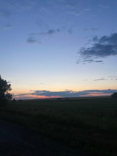A photograph taken at dusk captures a rural landscape. The sky is a gradient of pale blue at the top, transitioning to hues of pink and orange near the horizon, indicative of sunset. Scattered clouds are visible in the sky, some appearing darker and more defined.
The foreground is dominated by a dark, silhouetted field of crops, possibly wheat or tall grass, stretching towards the horizon. A dirt road or path runs diagonally across the bottom left of the frame, also in shadow. On the left side of the image, a large, dark tree stands in silhouette. In the distance, across the field, a faint line of trees and possibly some structures can be discerned. The overall impression is one of a peaceful, agrarian scene at the end of the day. The scene is located in the vicinity of Martynivka, Ukraine.