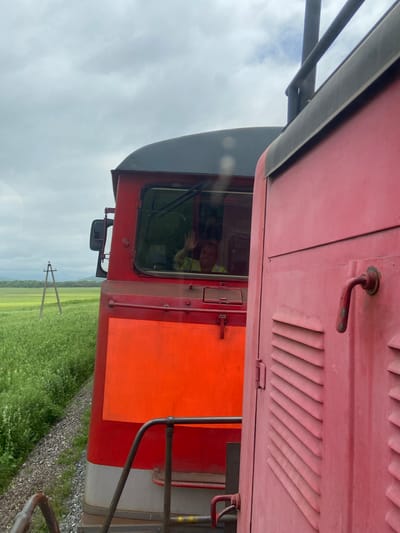 This image shows a view from inside a moving train, looking towards the front of another train. The foreground features the side of a red train car with horizontal louvers and a red handle. The middle ground shows the cabin of a red locomotive, with a person wearing a high-visibility vest waving from the driver's window. Behind the locomotive, a lush green field stretches to the horizon, dotted with trees and mountains in the distance under a cloudy sky. A wooden utility pole stands in the field to the left. The train tracks are visible in the lower left corner. The image is taken from a dynamic perspective, suggesting motion. The location is identified as the city of Gvozdevo, Russia.
